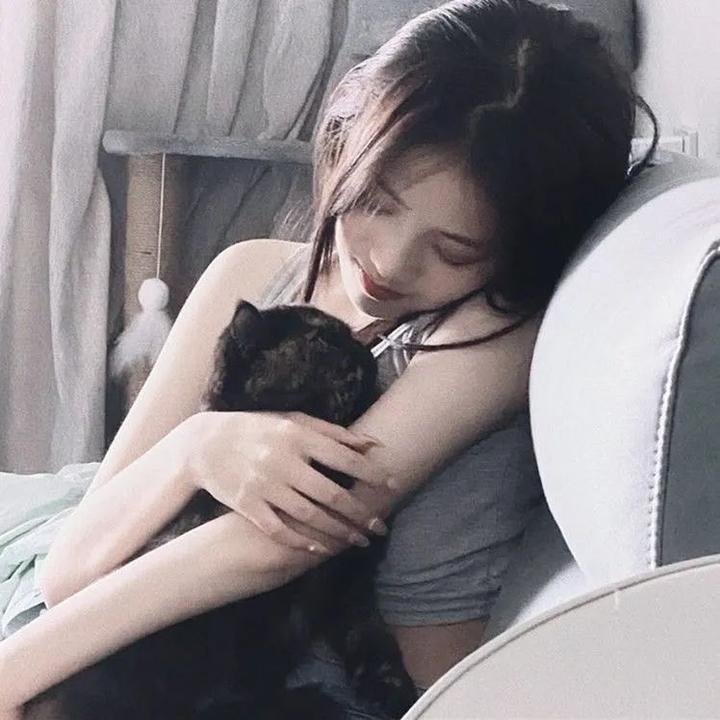 整体风格偏向电影与电视剧的融合呈现，亮点明确，适合作为站内重点推荐内容。